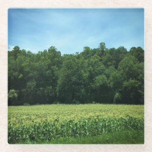 Cornfield in Rural North Carolina Poster Magnet Ke Glazen Onderzetter