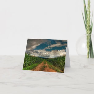 Cornfield Lege Notecard van de zomer Kaart