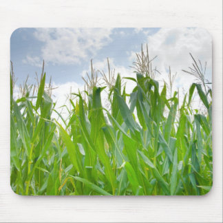 Cornfield mousepad muismat