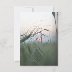 Cornfield Natuur Fotokaart RSVP Kaartje