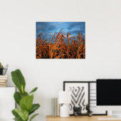 Cornfield Poster (Thuiskantoor)