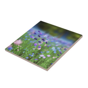 Cornflower Blue Decorative Tile Tegeltje
