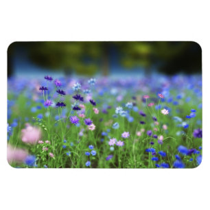 Cornflower Blue Flexible Magnet Magneet