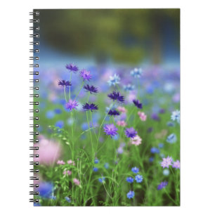Cornflower Blue Notitieboek