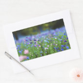 Cornflower Blue Stickers (Envelop)