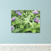 Cornflower Canvas afdrukken (Insitu (Houten vloer))