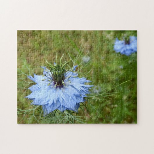 Cornflower Foto Puzzle Legpuzzel (Horizontaal)