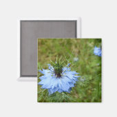 Cornflower Magnet Magneet (Voorkant / Achterkant)
