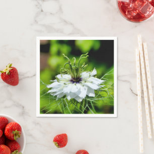 Cornflower Paper Napkins Servet