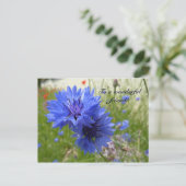 Cornflower power! briefkaart (Staand voorkant)