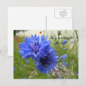 Cornflower power! briefkaart (Voorkant / Achterkant)