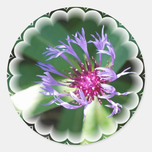 Cornflower Sticker (Voorkant)