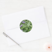 Cornflower Sticker (Envelop)