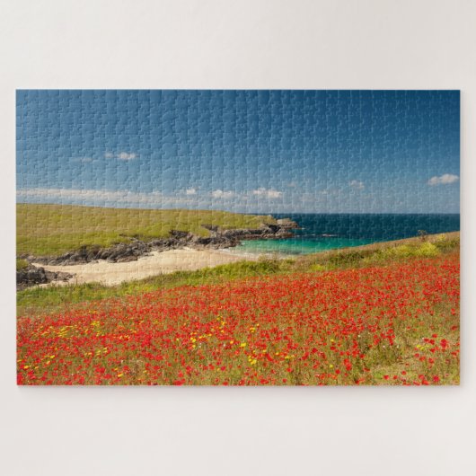 Cornish Coastal Poppy Fields Legpuzzel (Horizontaal)