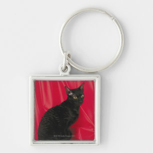 Cornish rex cat sleutelhanger