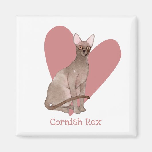 Cornish Rex Cat Waterverf Kat Roze hart Magneet (Voorkant)