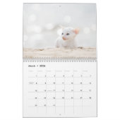 Cornish Rex Kittens kalender (Mar 2026)