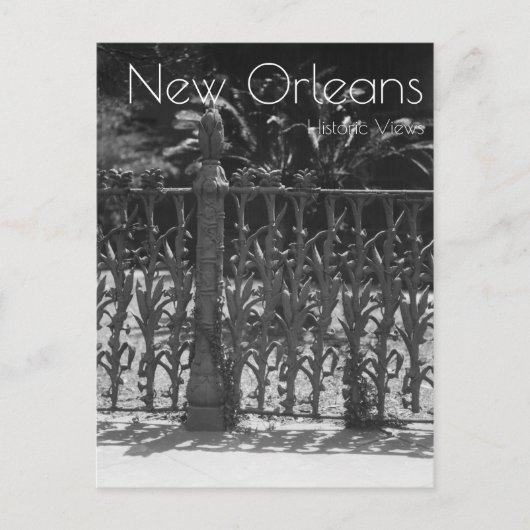 Cornstalk Wete Iron Fence Briefkaart (Voorkant)