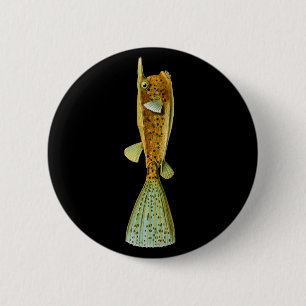 Cornutus van Ostracion (Boxfish), Fijn Art. Ronde Button 5,7 Cm