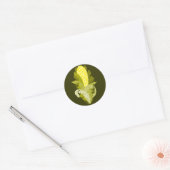 Corny Sticker (Envelop)