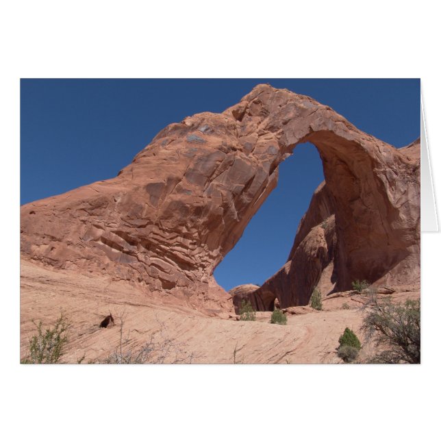 Corona Arch, Moab Utah (Voorkant Horizontaal)