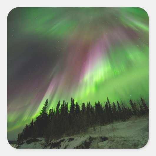 Corona Aurora Vierkante Sticker (Voorkant)