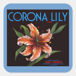Corona Lily Vierkante Sticker