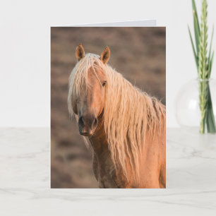 Corona's Dawn Portrait Wild Horse Wenskaart Kaart