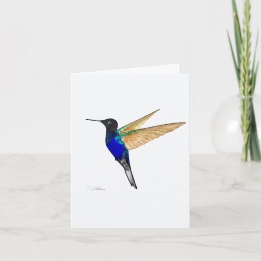 Coronet Hummingbird-Wenskaart Kaart (Voorkant)