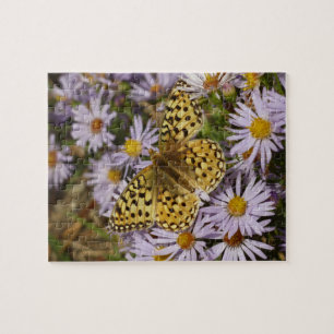 Coronis Fritillary op Aster Bloemen bij Grand Teto Legpuzzel