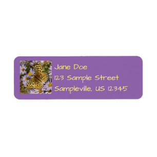 Coronis Fritillary op Aster Flowers bij Grand Teto Etiket