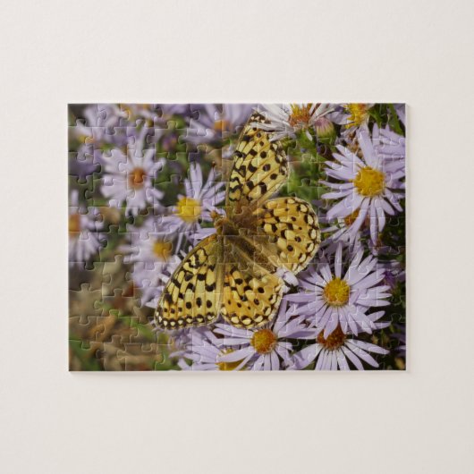 Coronis Fritillary op Aster Flowers bij Grand Teto Legpuzzel (Horizontaal)