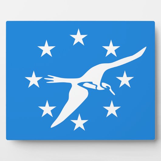 Corpus Christi City Flag Plaque Fotoplaat (Voorkant)