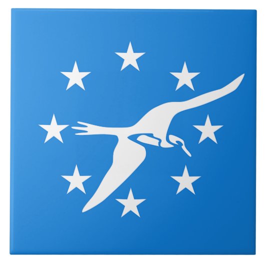 Corpus Christi City Flag Tegel Tegeltje (Voorkant)
