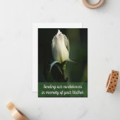 Correspondance Belle carte de voeux White Rosebud (Devant/Arrière en situation)