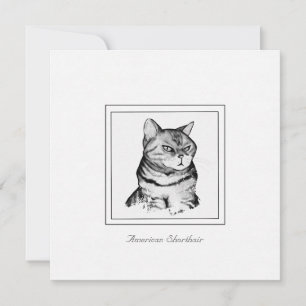 Correspondance Carte de chat noir et blanc à aire courte américai