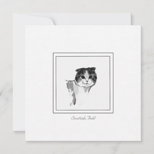 Correspondance Carte de dessin de chat plié écossais mignon (Devant)
