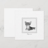 Correspondance Carte de dessin noir et blanc Abyssinian Cat (Devant / Derrière)