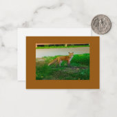 Correspondance Carte de note à plat Red Fox (Devant/Arrière en situation)