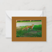 Correspondance Carte de note à plat Red Fox (Devant)