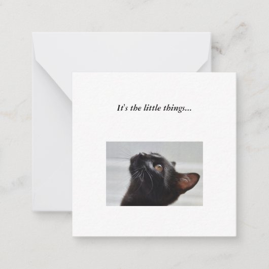 Correspondance Carte de note Black Cat Mini Thank You (Devant)