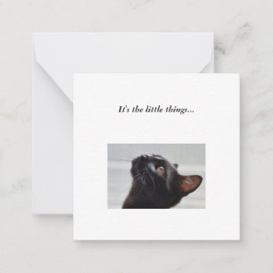 Correspondance Carte de note Black Cat Mini Thank You