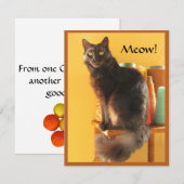 Correspondance Carte de note - Chat artisanal (Devant / Derrière)