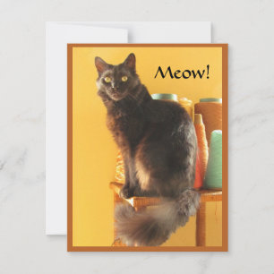 Correspondance Carte de note - Chat artisanal
