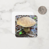 Correspondance Carte de note de champignon (Devant/Arrière en situation)