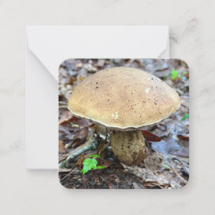 Correspondance Carte de note de champignon