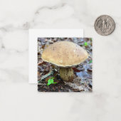 Correspondance Carte de note de champignon (Devant/Arrière en situation)