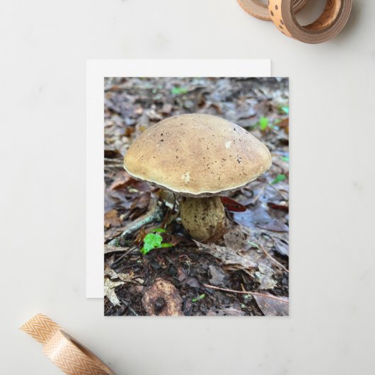 Correspondance Carte de note de champignon (Devant/Arrière en situation)