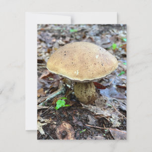Correspondance Carte de note de champignon
