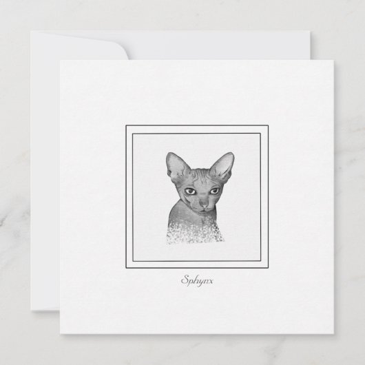 Correspondance Carte de note de dessin Sphynx Chat Chalk (Devant)